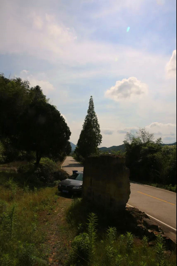 阿龙丨山间小憩恋悠草（摄影随笔三则）