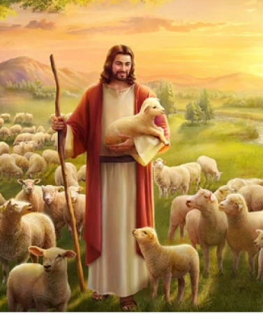 赵德伟丨盐碱地的牧人