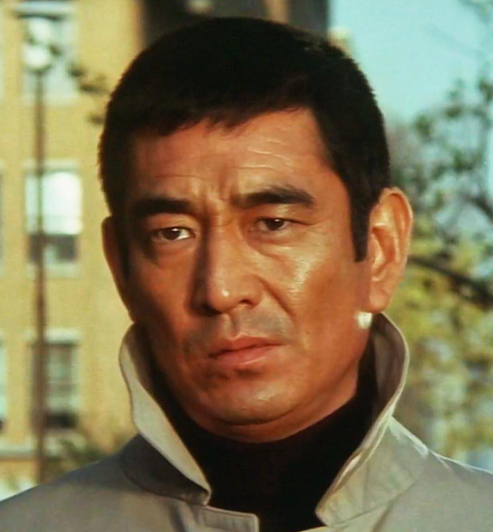 落叶知秋丨日本之行印象