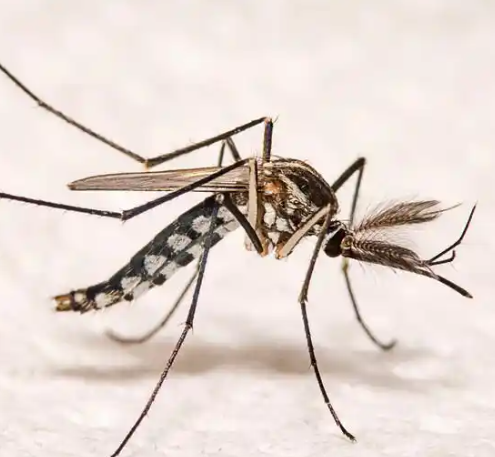 民国十七年作文选（二则·之二）