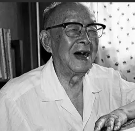 祁萌之丨从周有光的“要从世界看国家”谈起