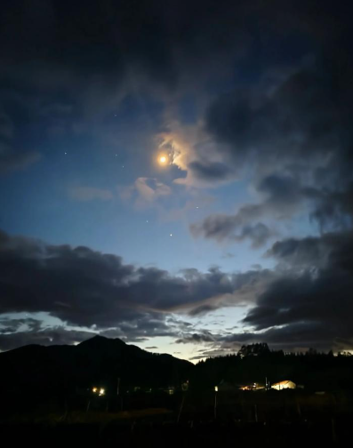 荣生丨青岛归去来（之十三·后记）