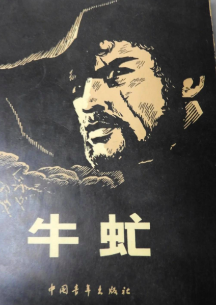 阿杰丨盐与光初探