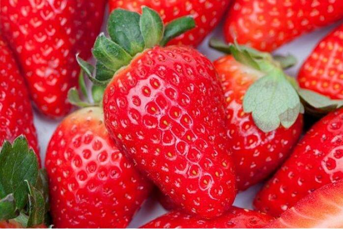 阿杰丨人应该吃草莓吗