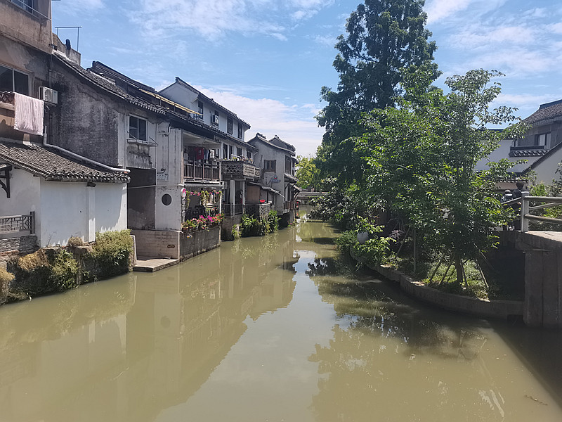 张君嘉丨上海之旅（七律二首）