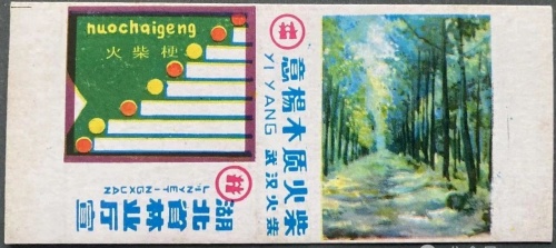 ​张勇丨意杨火柴 应时而生（二则）