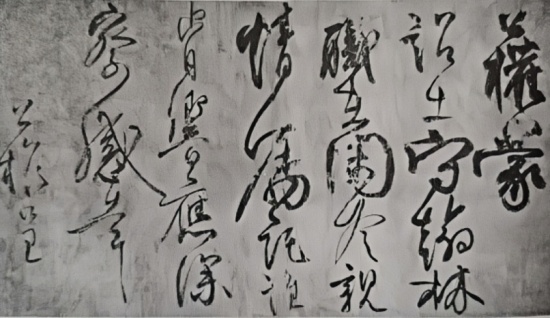 姜寿民丨今草作品判定失误举例