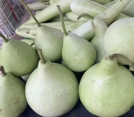 张勇丨摁下葫芦起了瓢