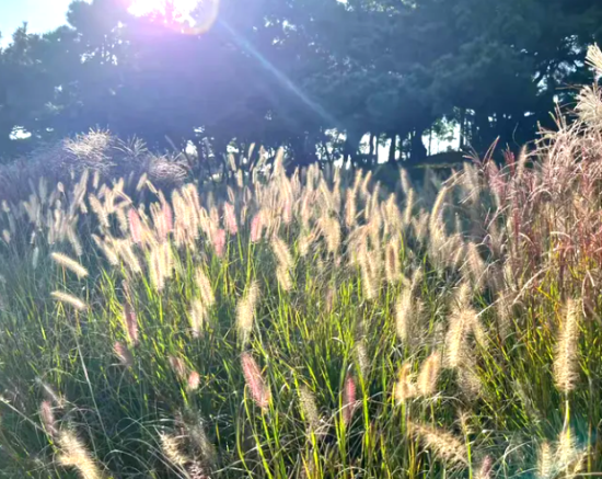 学周丨感时（三章）