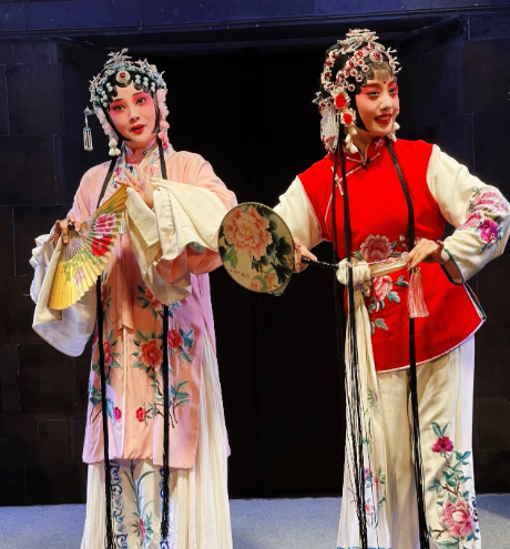 落叶知秋丨百看不厌牡丹亭