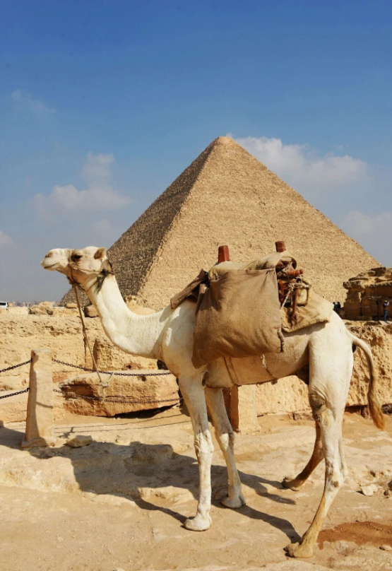 点击查看原图 20.png