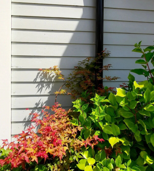 点击查看原图 11.png