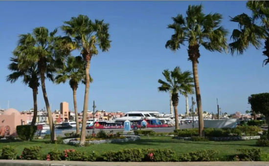 点击查看原图 7-.png