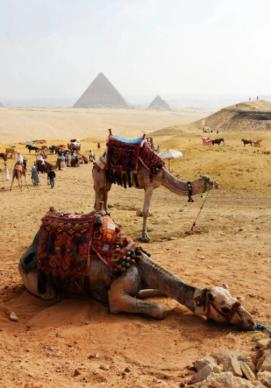 点击查看原图 7.png