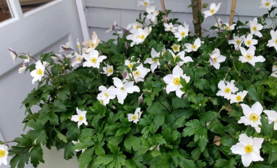 点击查看原图 QQ20251106-115628.png