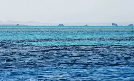 点击查看原图 8-.png