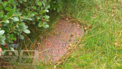 北冥有鱼丨寒松堂辑佚（1）