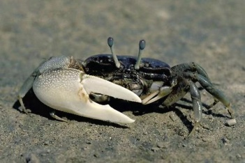 点击查看原图 图片 1.png