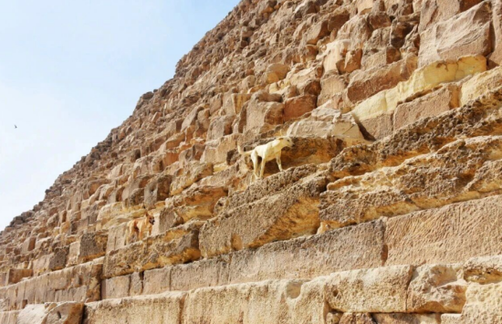 点击查看原图 15.png