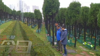 点击查看原图 图片 2.png