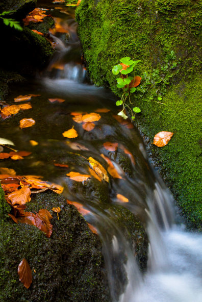 阿龙丨岩石和流水（二首）