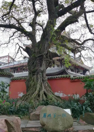 点击查看原图 2.png