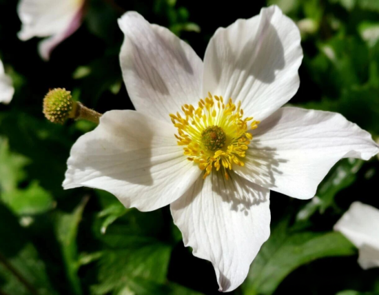 点击查看原图 QQ20251106-115637.png