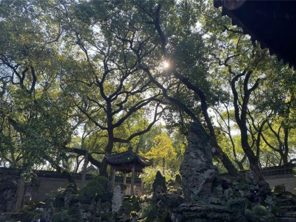 点击查看原图 5.jpg