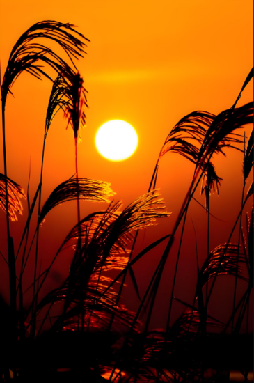 苏永生丨谈谈宗教与心理治疗（心理咨询笔记二则）