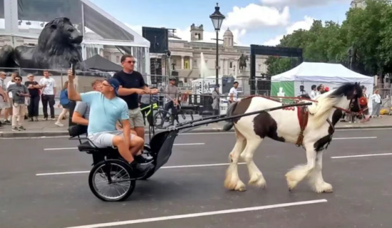 点击查看原图 4.png