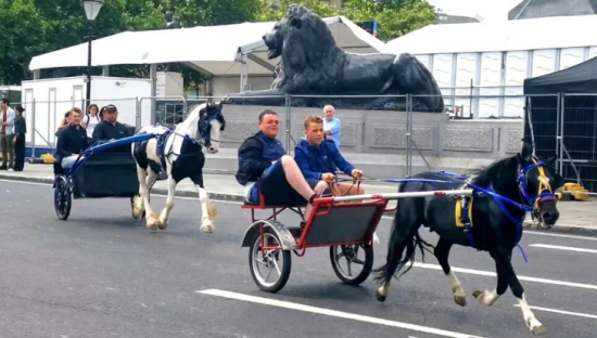 点击查看原图 3.png