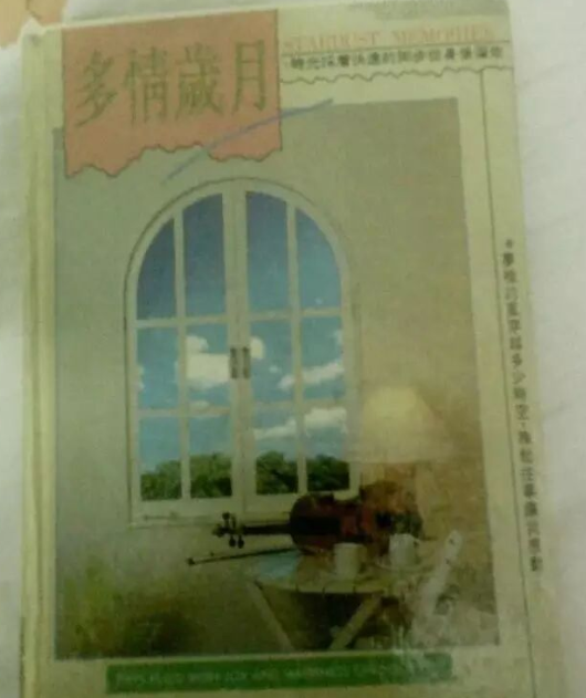 何美鸿丨献祭我的豆蔻华年