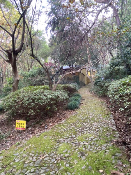 点击查看原图 47.jpg