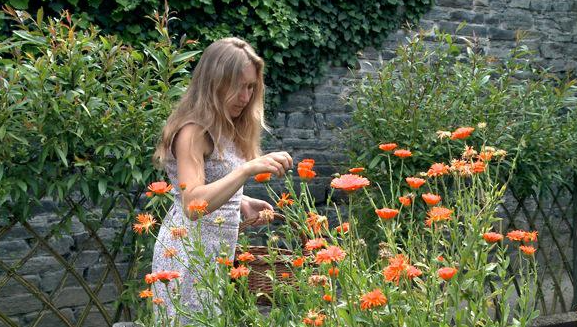 点击查看原图 4拨弦.png