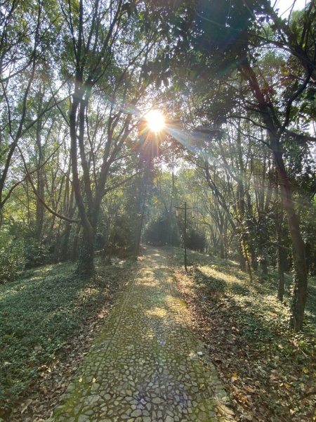 点击查看原图 45.jpg