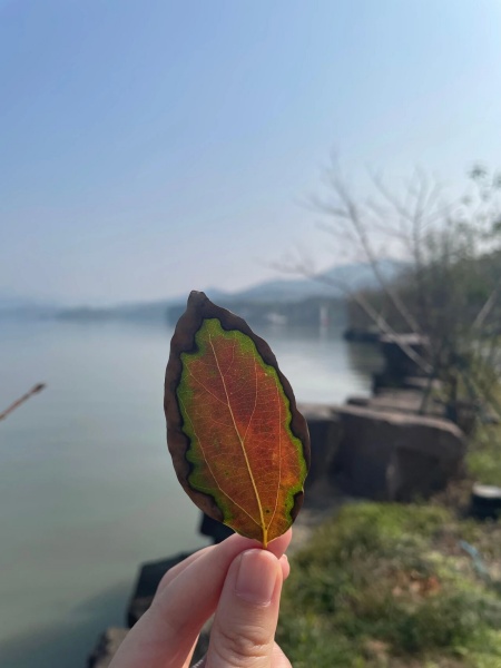 点击查看原图 51.jpg