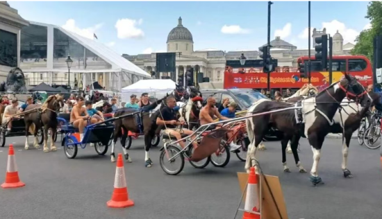 点击查看原图 1.png