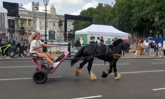 点击查看原图 8.png