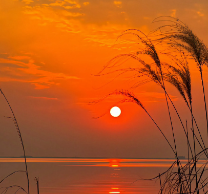 何美鸿丨夕阳里的相遇