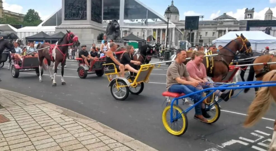 点击查看原图 5.png