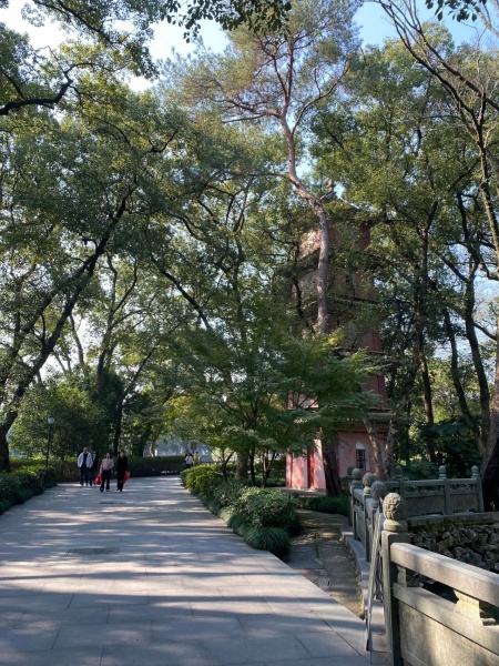 点击查看原图 32.jpg