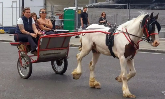 点击查看原图 7.png