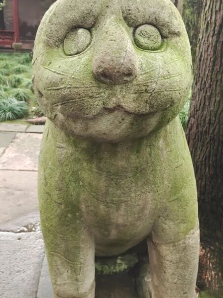 点击查看原图 10.jpg