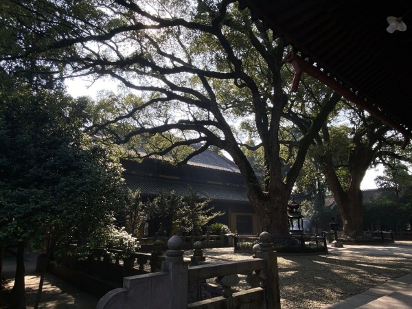 点击查看原图 35.jpg