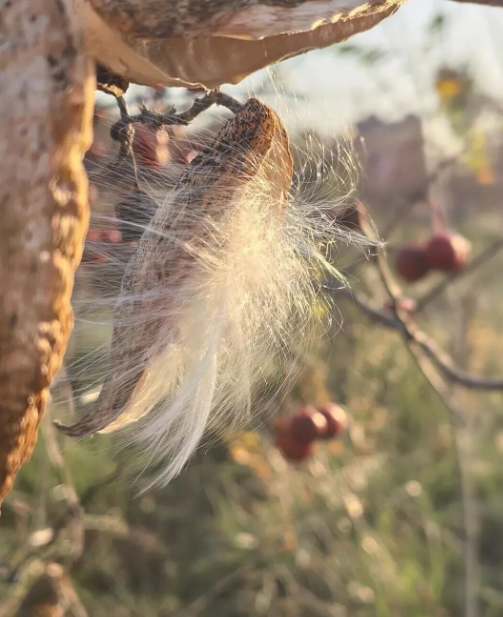 李言谙丨当月亮好人好事一样多