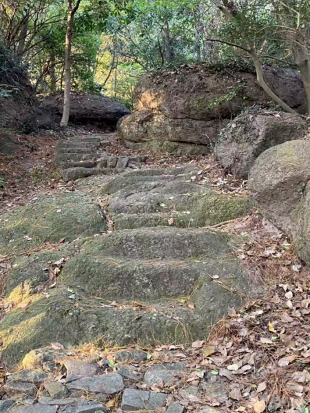 点击查看原图 17.png