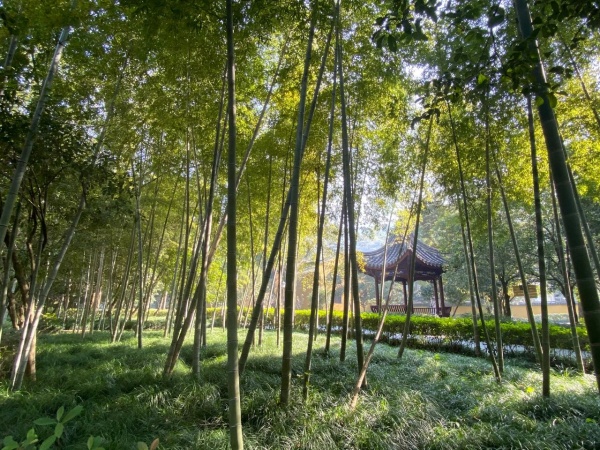 点击查看原图 33.jpg