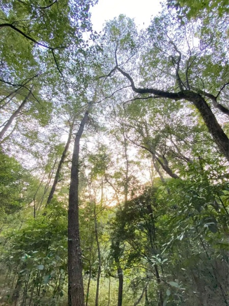 点击查看原图 19.jpg