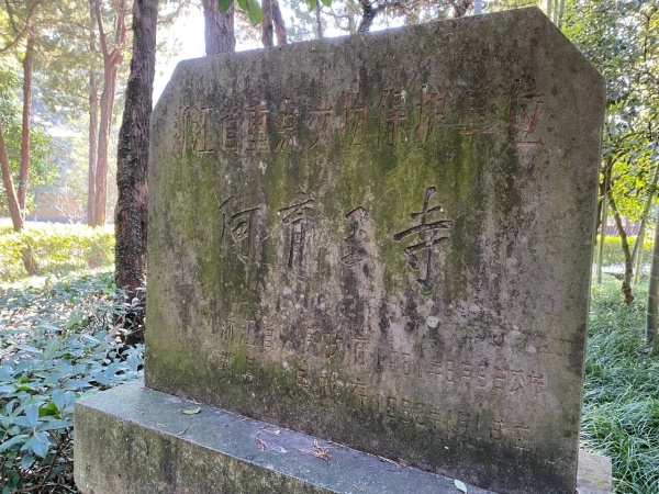 点击查看原图 31.jpg