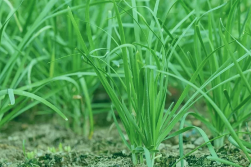 点击查看原图 QQ20251210-201918.png